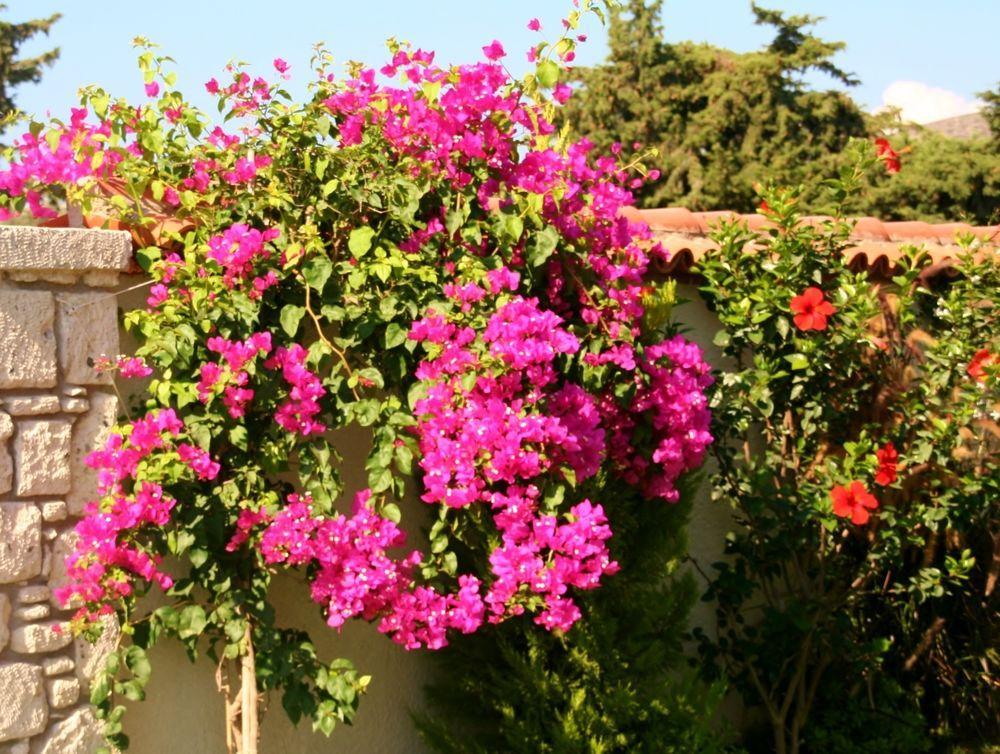 Yasemin Alacati (Adults Only) Exterior photo